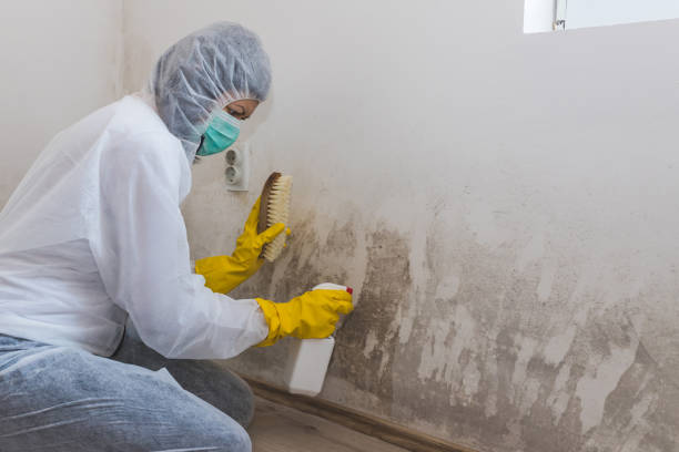 Best Water Damage Restoration  in West Bishop, CA