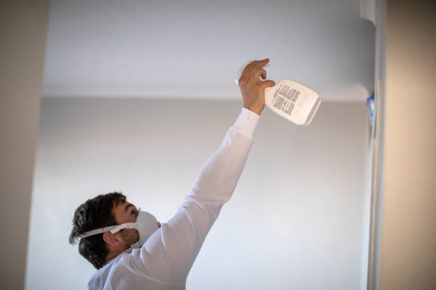 Best Toxic Mold Removal  in West Bishop, CA
