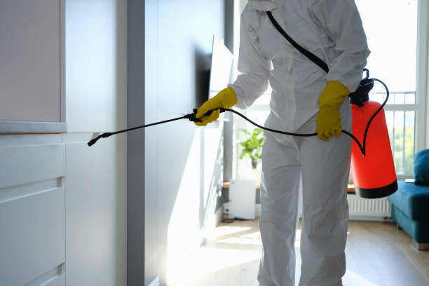 Best Mold Testing  in West Bishop, CA