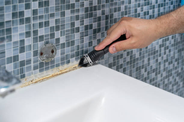 Attic Mold Removal in West Bishop, CA