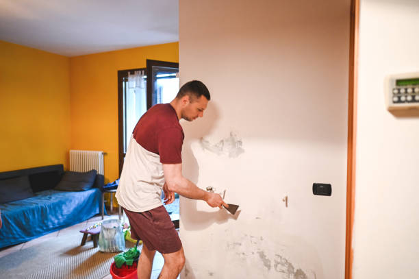 Best Mold Cleaning Services  in West Bishop, CA