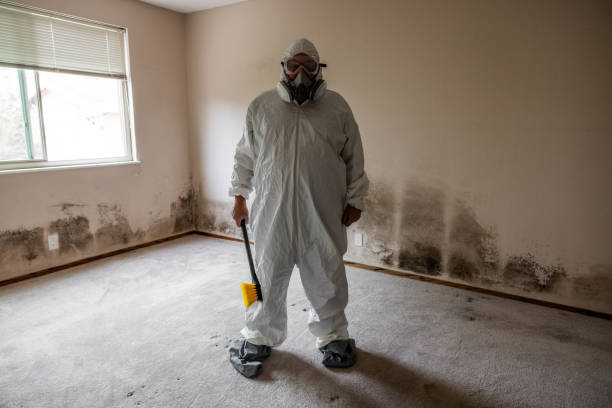 Best Crawl Space Mold Removal  in West Bishop, CA